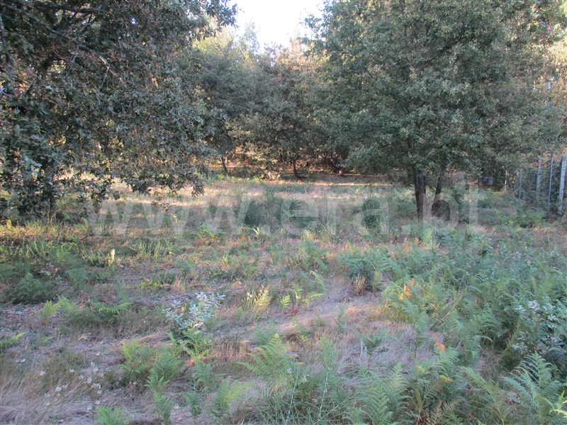 Terreno para Construção  Fafe, Estorãos - 1042537 - 14