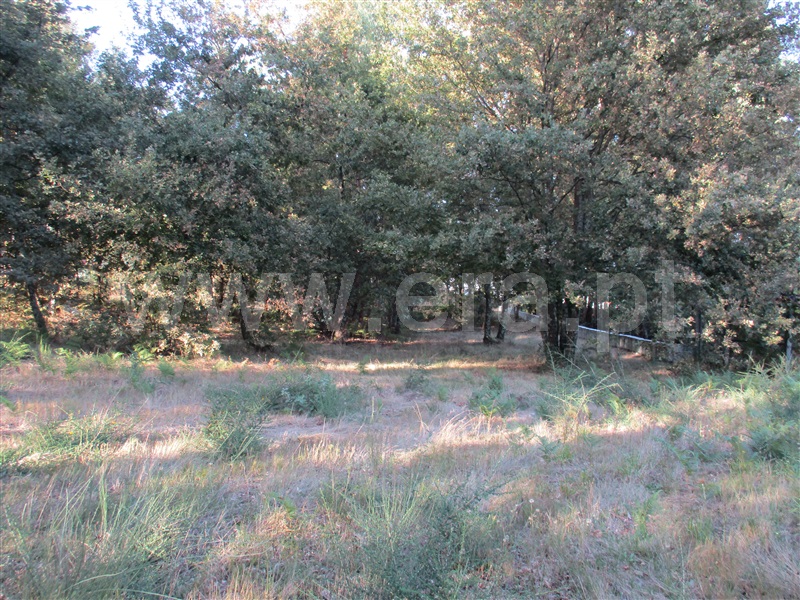 Terreno para Construção  Fafe, Estorãos - 1042537 - 15