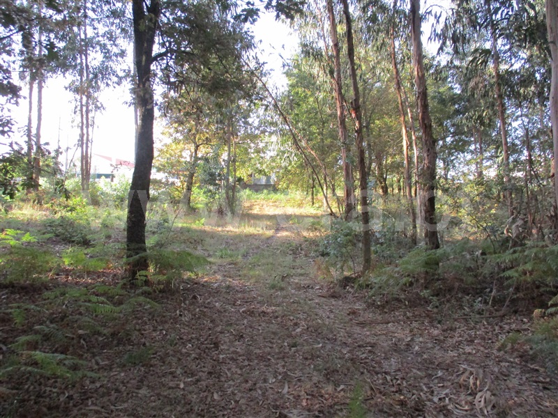 Terreno para Construção  Fafe, Estorãos - 1042537 - 18