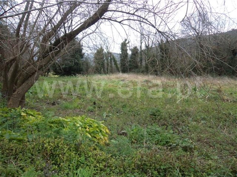 Terreno  Fafe, Fornelos - 1016681 - 2