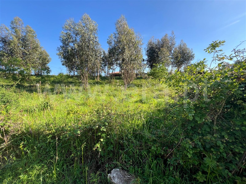 Terreno  Fafe, Fornelos - 1478137 - 2