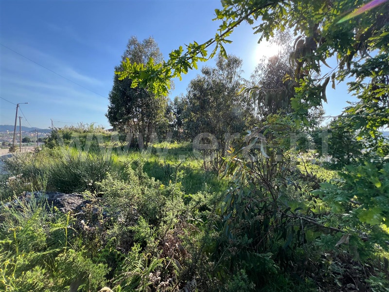 Terreno  Fafe, Fornelos - 1478137 - 6