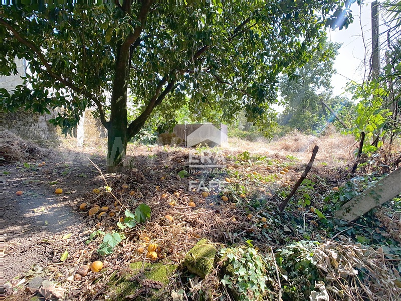 Terreno para Construção  Fafe, Fornelos - 1505825 - 4