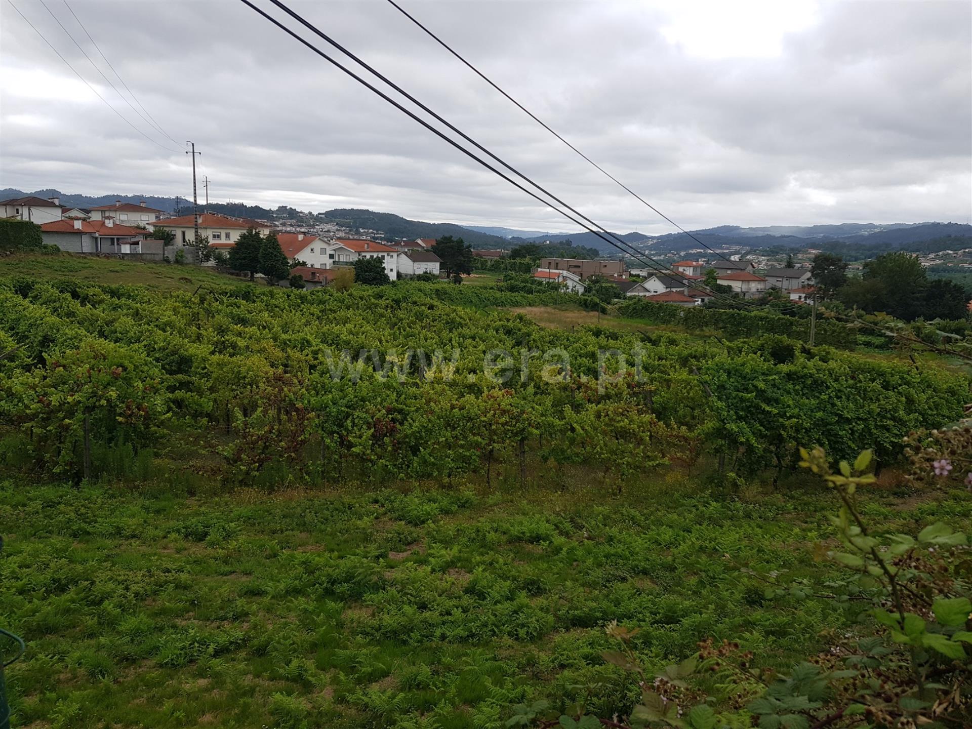 Land for sale in Fafe, Portugal — €550,000
