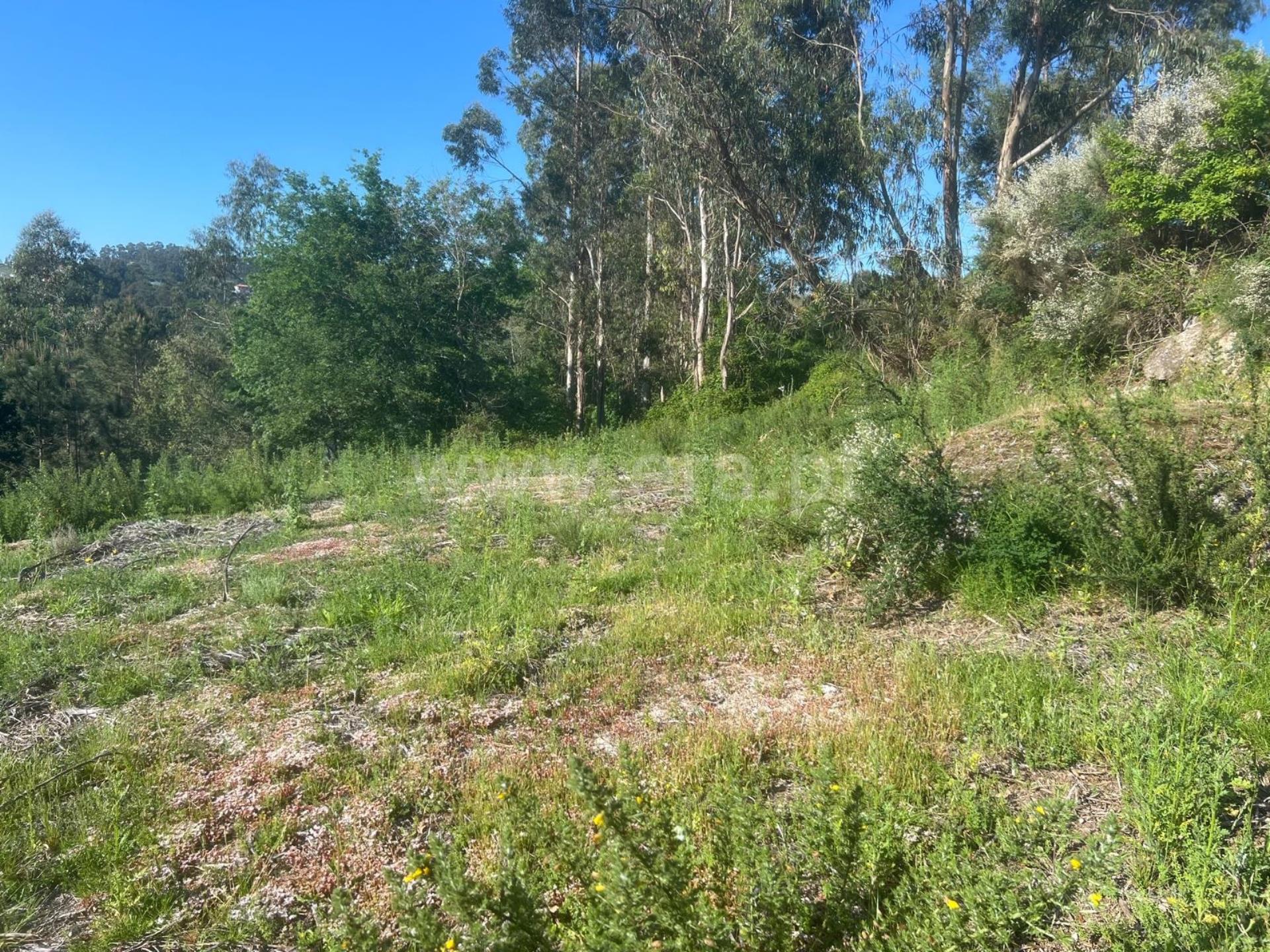 Land for sale in Fafe, Portugal — €69,900