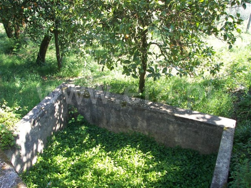Terreno para Construção  Fafe, Freitas e Vila Cova - 900006 - 6