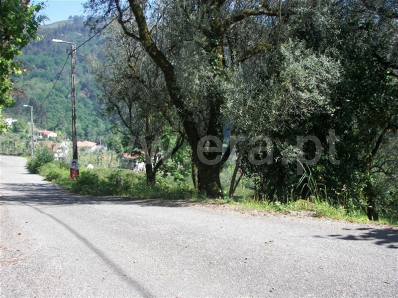 Terreno para Construção  Fafe, Freitas e Vila Cova - 900006 - 4