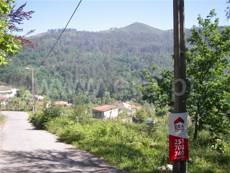 Terreno para Construção / Fafe, Freitas e Vila Cova
