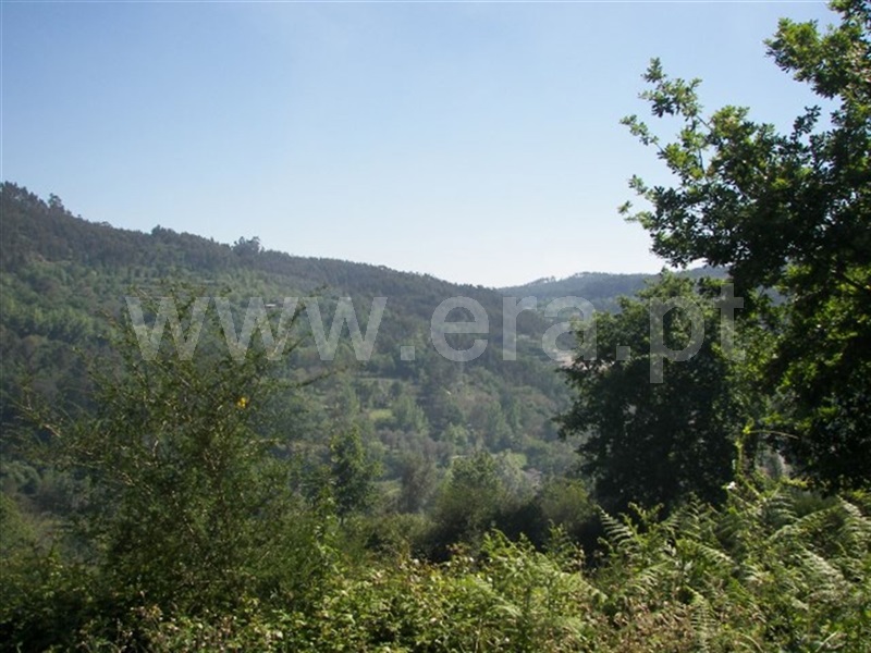 Terreno para Construção  Fafe, Freitas e Vila Cova - 900006 - 7