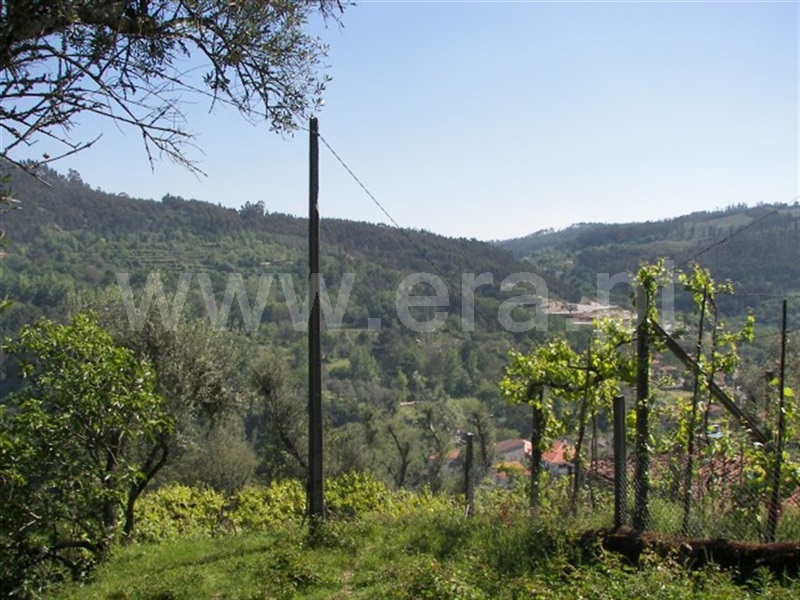 Terreno para Construção  Fafe, Freitas e Vila Cova - 900006 - 8