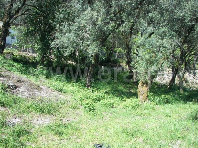 Terreno para Construção  Fafe, Freitas e Vila Cova - 900006 - 9