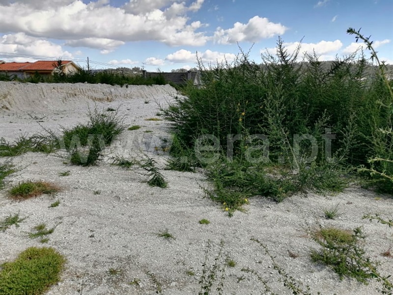 Terreno para Construção  Fafe, Golães - 1243667 - 3