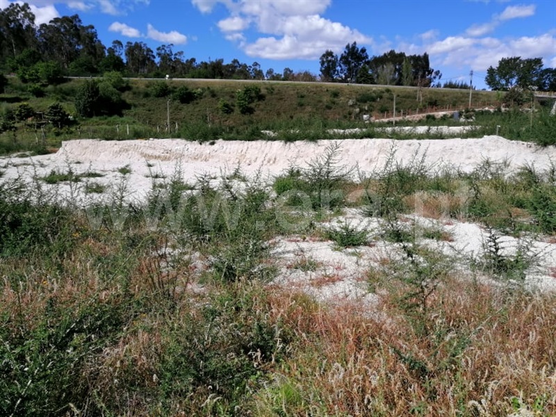 Terreno para Construção  Fafe, Golães - 1243667 - 4