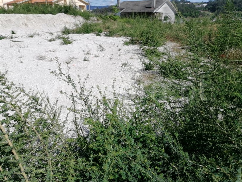 Terreno para Construção  Fafe, Golães - 1243667 - 6