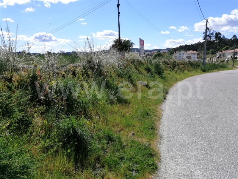 Terreno para Construção  Fafe, Golães - 1243669 - 6