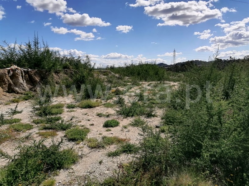 Terreno para Construção  Fafe, Golães - 1243670 - 3