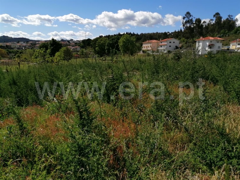 Terreno para Construção  Fafe, Golães - 1243670 - 9