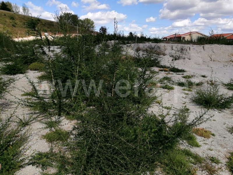Terreno para Construção  Fafe, Golães - 1243671 - 3