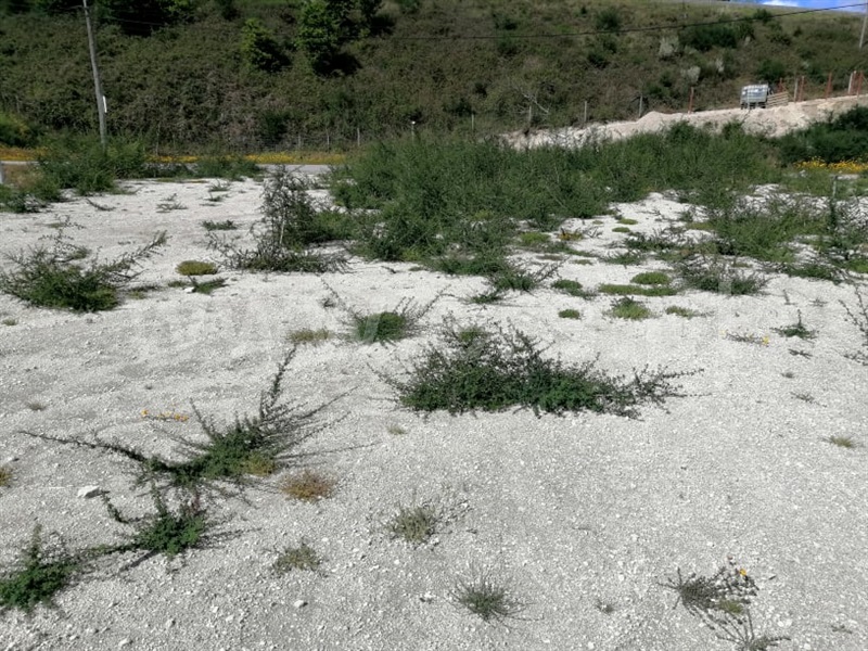 Terreno para Construção  Fafe, Golães - 1243671 - 5