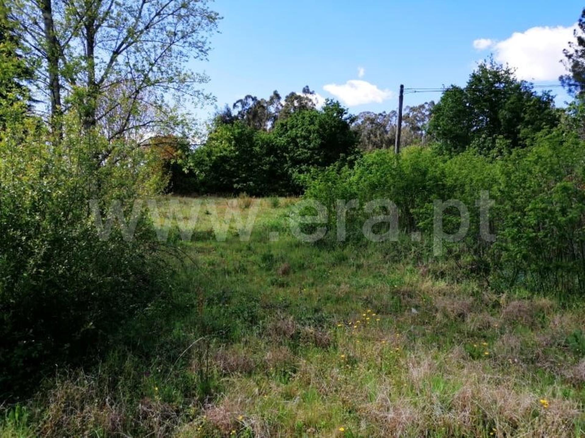 Land for sale in Fafe, Portugal — €62,500
