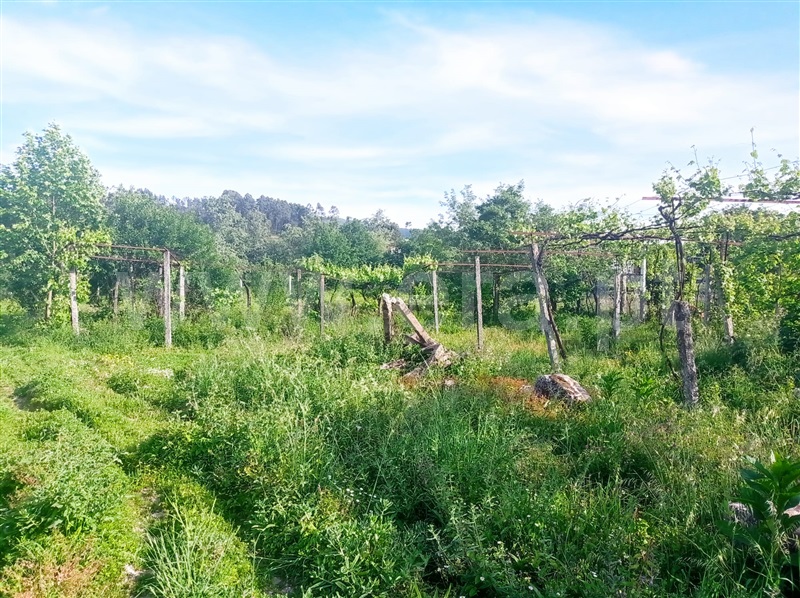 Terreno para Construção  Fafe, Medelo - 1321869 - 4