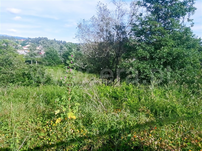 Terreno para Construção  Fafe, Medelo - 1321869 - 6