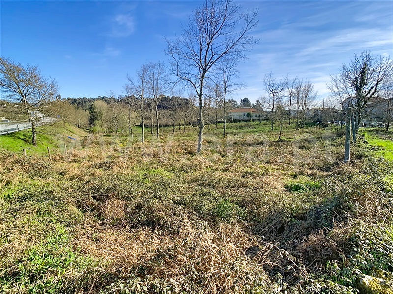 Terreno para Construção / Fafe, Medelo