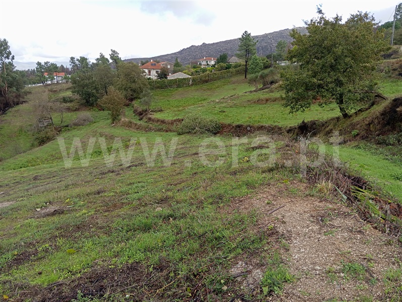 Terreno para Construção / Fafe, Monte e Queimadela