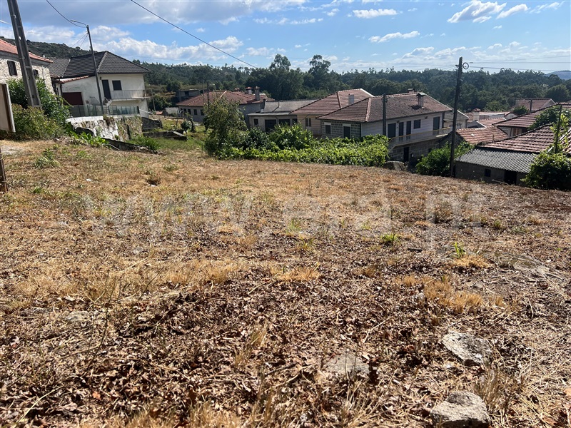 Terreno  Fafe, Moreira do Rei e Várzea Cova - 1432099 - 2