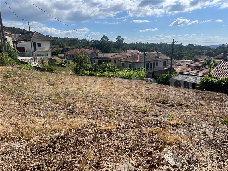 Terreno  Fafe, Moreira do Rei e Várzea Cova - 1432099 - 3