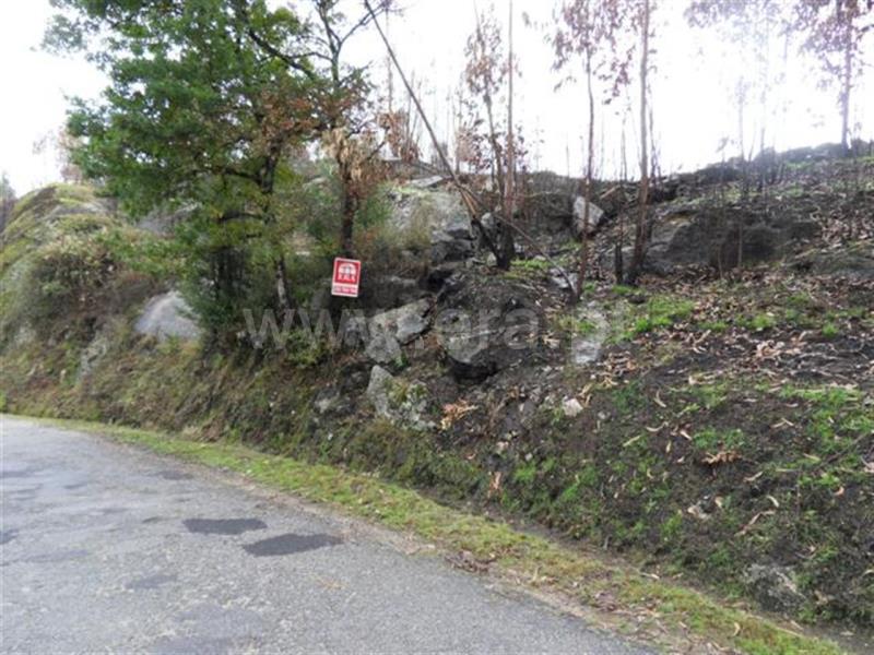 Terreno para Construção  Fafe, Moreira do Rei e Várzea Cova - 541206 - 2