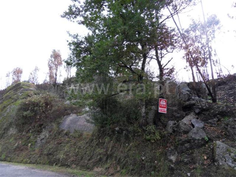 Terreno para Construção  Fafe, Moreira do Rei e Várzea Cova - 541206 - 3
