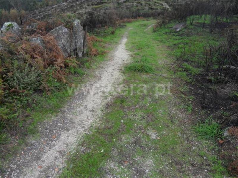 Terreno para Construção  Fafe, Moreira do Rei e Várzea Cova - 541206 - 6