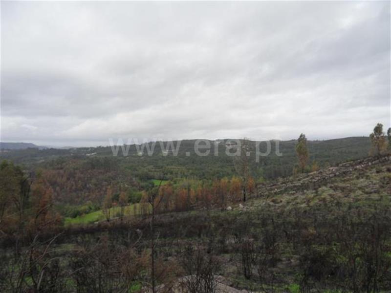 Terreno para Construção  Fafe, Moreira do Rei e Várzea Cova - 541206 - 4