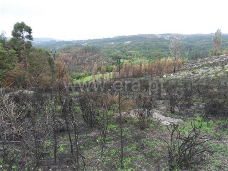 Terreno para Construção  Fafe, Moreira do Rei e Várzea Cova - 541206 - 7