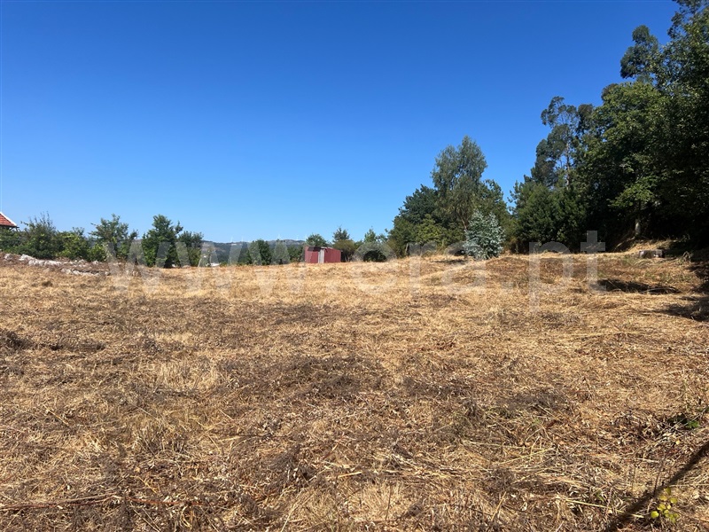 Terreno para Construção / Fafe, Quinchães