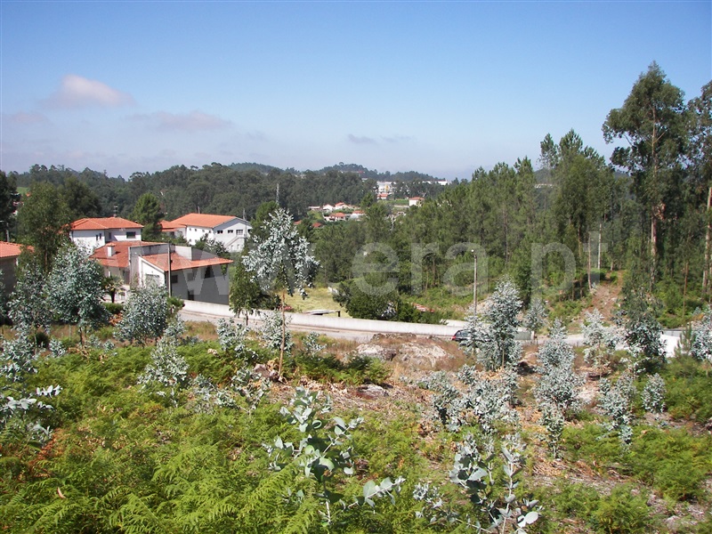 Terreno para Construção  Fafe, Regadas - 1027601 - 13