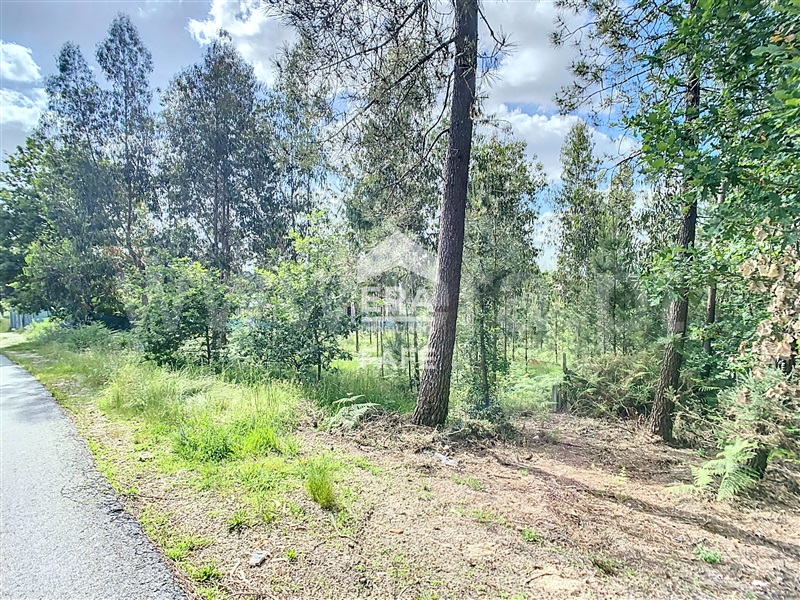 Terreno para Construção  Fafe, Regadas - 1405577 - 3