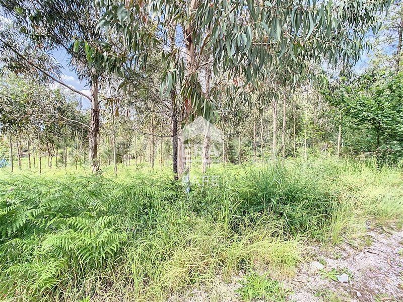 Terreno para Construção  Fafe, Regadas - 1405577 - 5