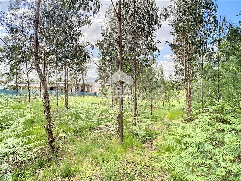 Terreno para Construção  Fafe, Regadas - 1405577 - 7