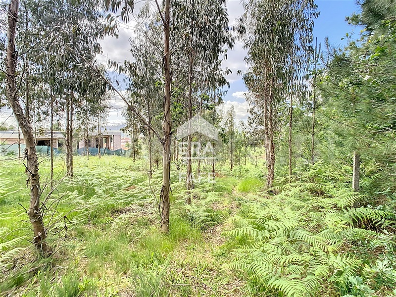 Terreno para Construção  Fafe, Regadas - 1405577 - 8