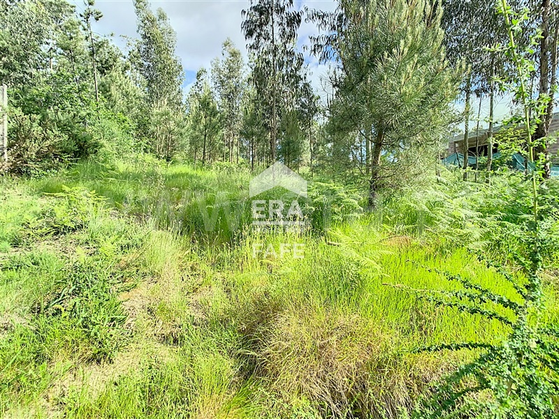Terreno para Construção  Fafe, Regadas - 1405577 - 10