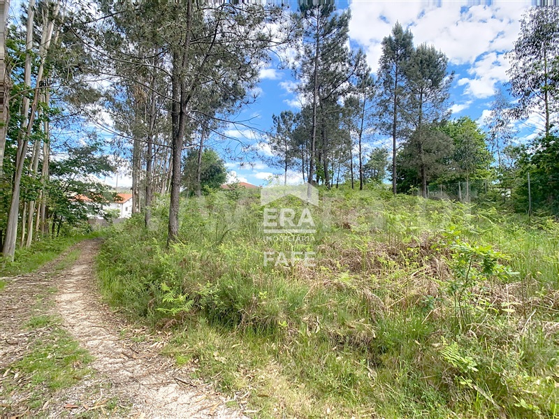 Terreno para Construção  Fafe, Regadas - 1479766 - 4