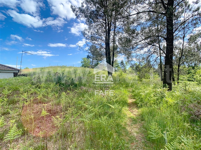 Terreno para Construção  Fafe, Regadas - 1479766 - 8