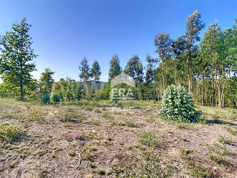 Terreno para Construção  Fafe, Regadas - 1505225 - 6