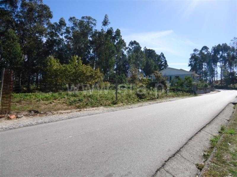 Lote  Fafe, Regadas - 756943 - 2