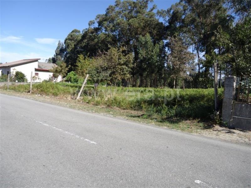 Terreno para Construção / Fafe, Regadas