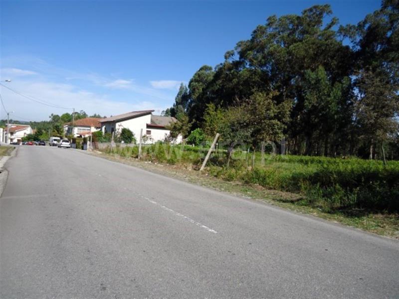 Lote  Fafe, Regadas - 756943 - 4