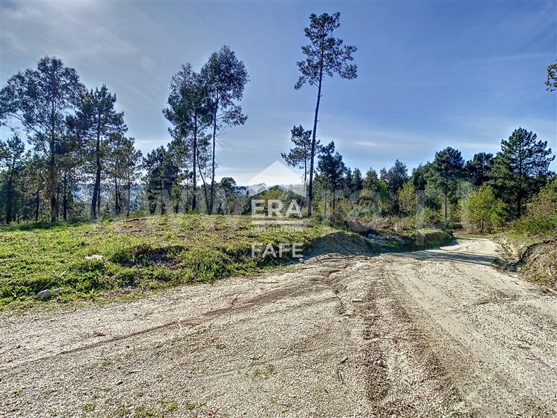 Terreno para Construção  Fafe, Revelhe - 1314922 - 4