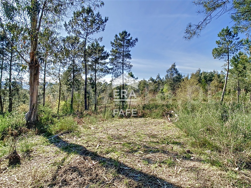 Terreno para Construção  Fafe, Revelhe - 1314922 - 13